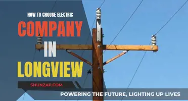 Electric Company Options in Longview: How to Choose Wisely