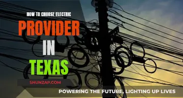 Choosing an Electric Provider in Texas: A Guide