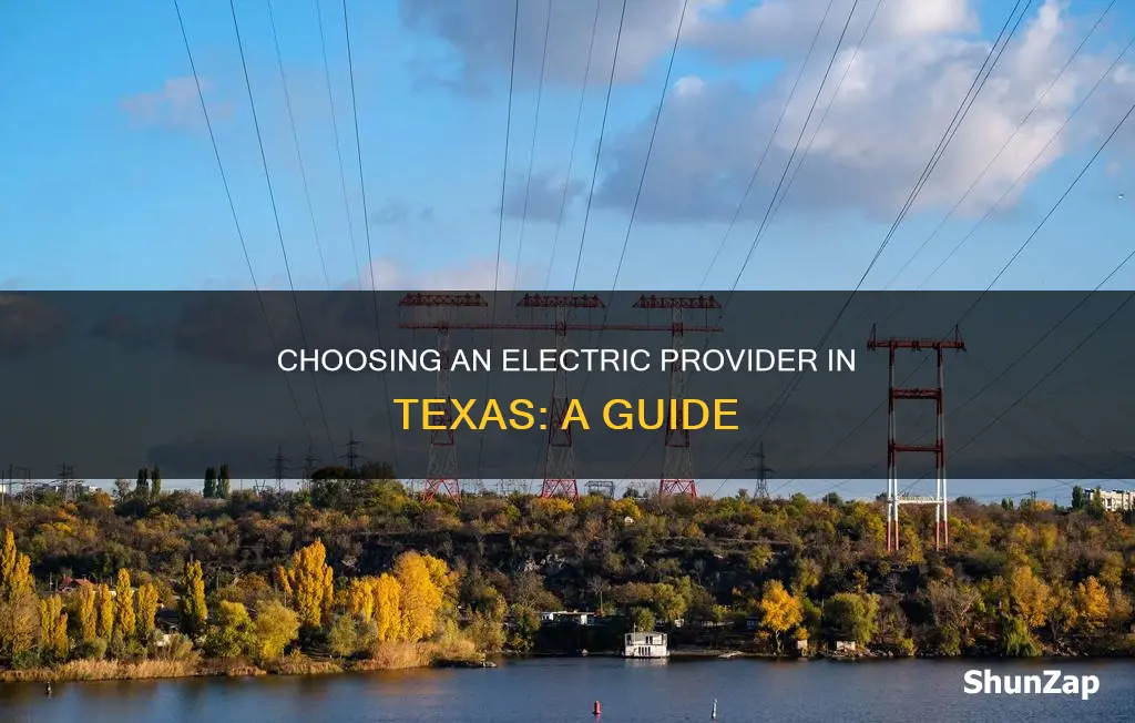 how to choose electric provider in texas