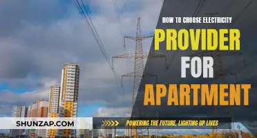 Choosing the Right Electricity Provider for Your Apartment