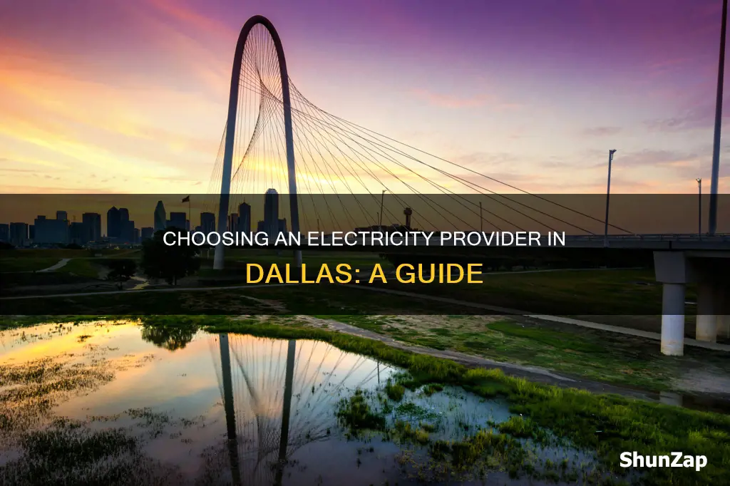 how to choose electricity provider in dallas