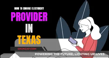 Choosing an Electricity Provider in Texas: What to Consider