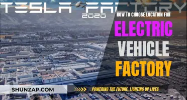 Selecting the Ideal Location for an Electric Vehicle Factory