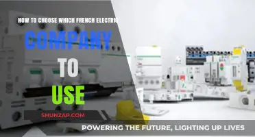 Navigating the French Electric Market: A Guide to Choosing Your Provider