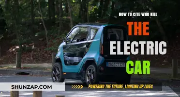 Citing 'Who Killed the Electric Car?' in Academic Writing: A Guide