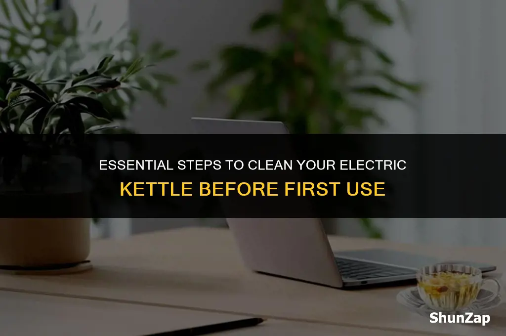 how to clean electric kettle before first use