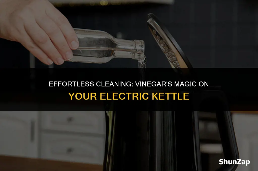 how to clean electric kettle using vinegar
