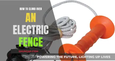 Surmounting Electric Fences: Strategies for Safe Crossing