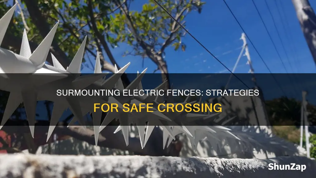 how to climb over an electric fence