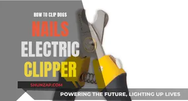 Clipping Dogs' Nails: Electric Clippers Made Easy