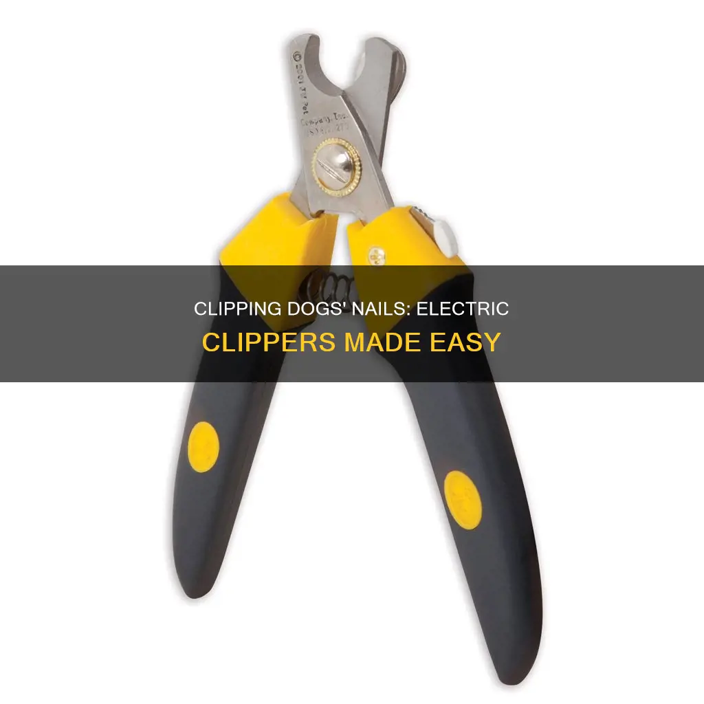 how to clip dogs nails electric clipper