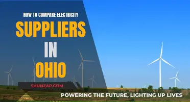 Comparing Electricity Suppliers in Ohio: A Guide