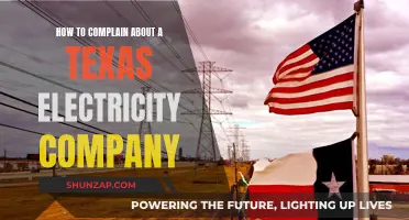 Texas Electricity Company: Complain and Get Results