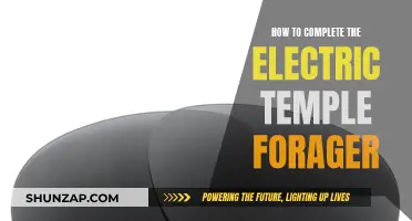 Electric Temple Forager: A Step-by-Step Guide to Completion