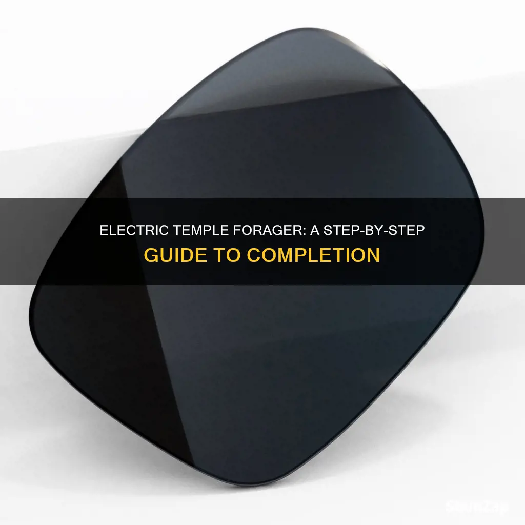 how to complete the electric temple forager