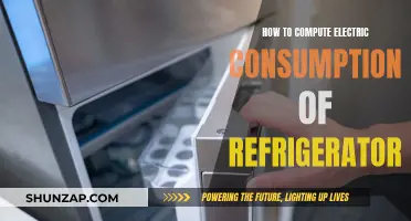 Understanding Your Fridge's Electric Consumption
