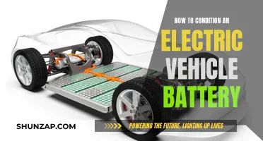 Mastering EV Battery Care: Tips for Optimal Performance and Longevity