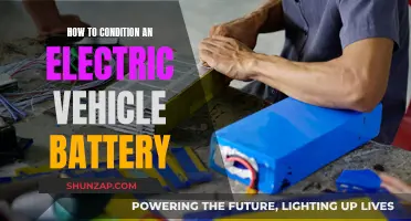 Conditioning Electric Vehicle Batteries: A Step-by-Step Guide