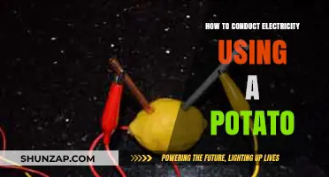 Spud Power: Conducting Electricity with a Humble Potato