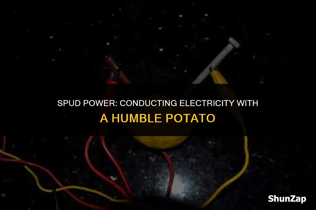 how to conduct electricity using a potato