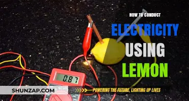 Zesty Power: Conducting Electricity with Lemons
