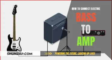 Connecting Your Electric Bass to an Amp: A Beginner's Guide