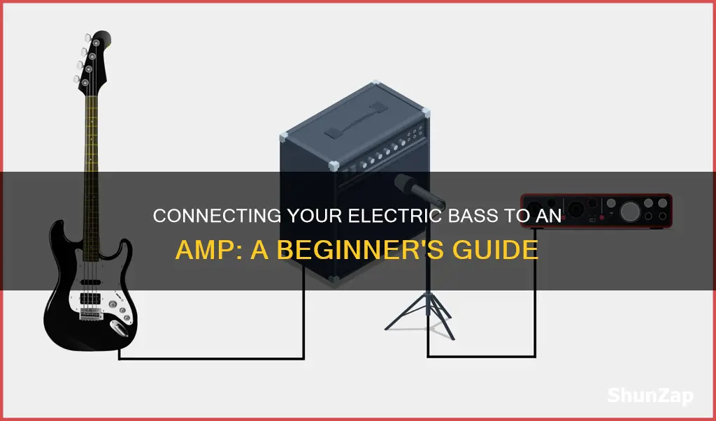 how to connect electric bass to amp