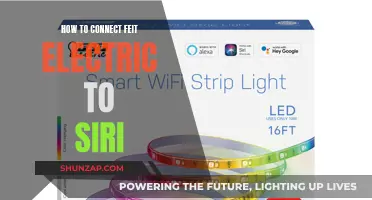 Integrating Feit Electric with Siri: A Step-by-Step Guide