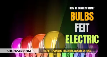 Smart Bulbs: Feit Electric Connection Guide