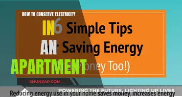 Conserving Electricity in Apartments: Simple Tips for Big Savings