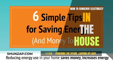 Conserving Electricity at Home: Simple Tips for Big Savings