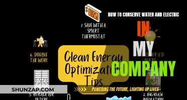 Conserve Water, Electric: Simple Company-Wide Strategies for Sustainability