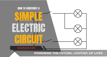 Creating a Simple Electric Circuit: A Step-by-Step Guide