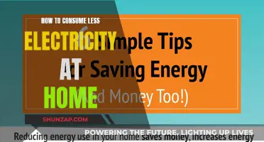 Conserve Energy: Simple Home Electricity-Saving Strategies
