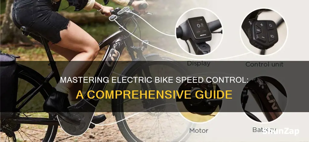 how to control speed of electric bike