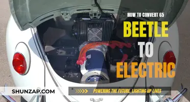 The Beetle's Electric Evolution: A Guide to Conversion