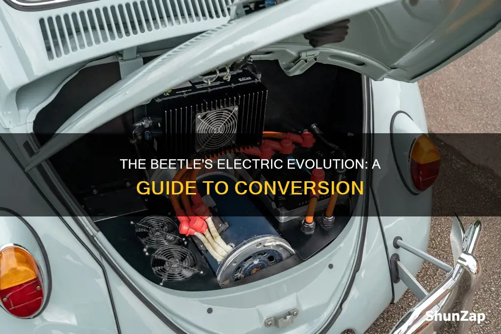 how to convert 65 beetle to electric