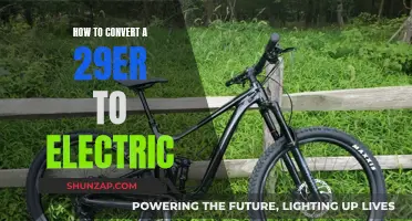 Transform Your 29er: Electric Conversion Guide