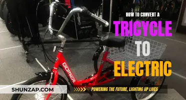 Transforming a Tricycle: Electric Edition