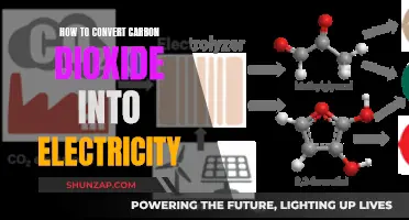 Converting Carbon Dioxide: Powering the Future with Electricity