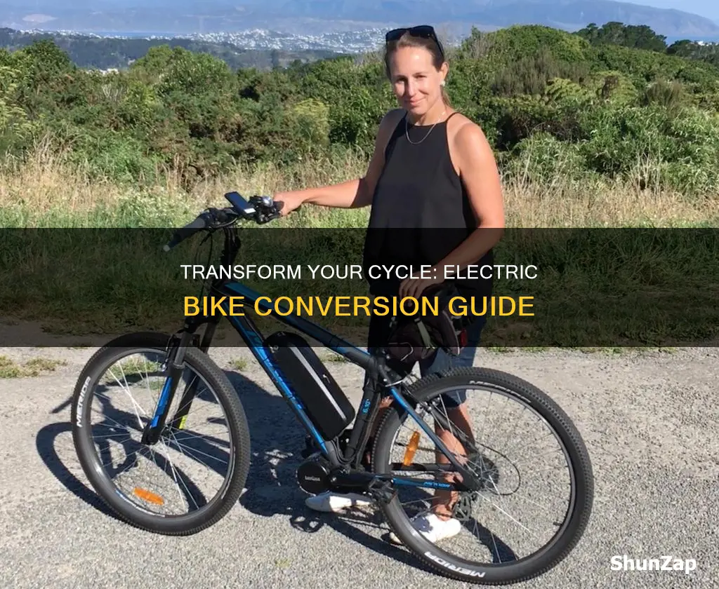 how to convert cycle into electric bike