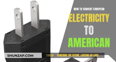 Converting European Electricity to American: A Step-by-Step Guide