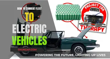 Green Revolution: A Guide to Fleet Conversion to Electric Vehicles