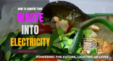 Turning Food Waste into Electricity: A Green Energy Solution