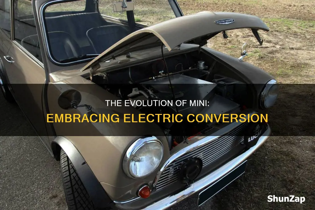 how to converty your mini to electric