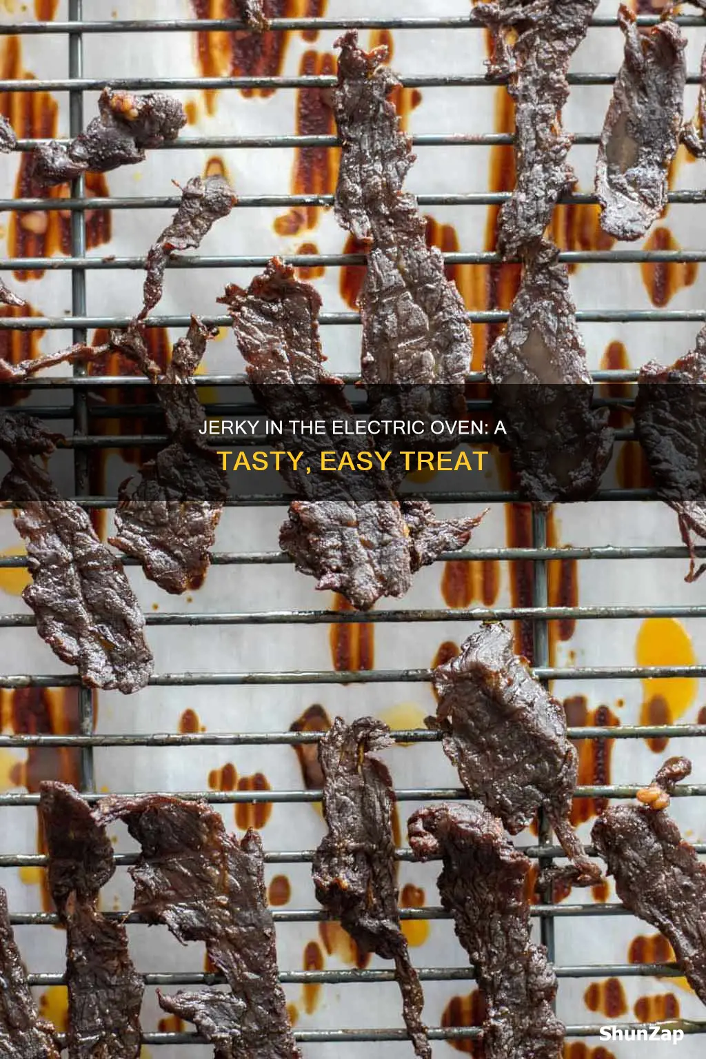 how to coock jerky in electric oven