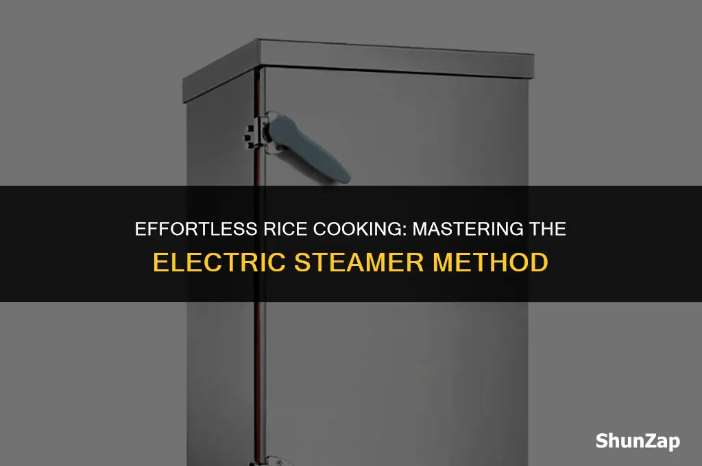 how to cook rice using electric steamer