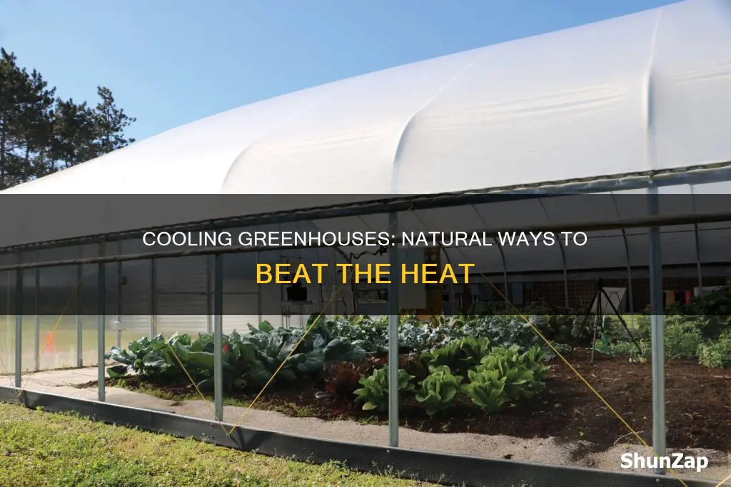 how to cool a greenhouse without electricity