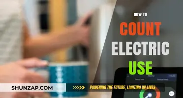 Empowering Efficiency: A Guide to Monitoring Your Electric Usage
