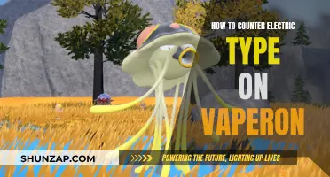 Strategies to Counter Electric Types with Vaperon